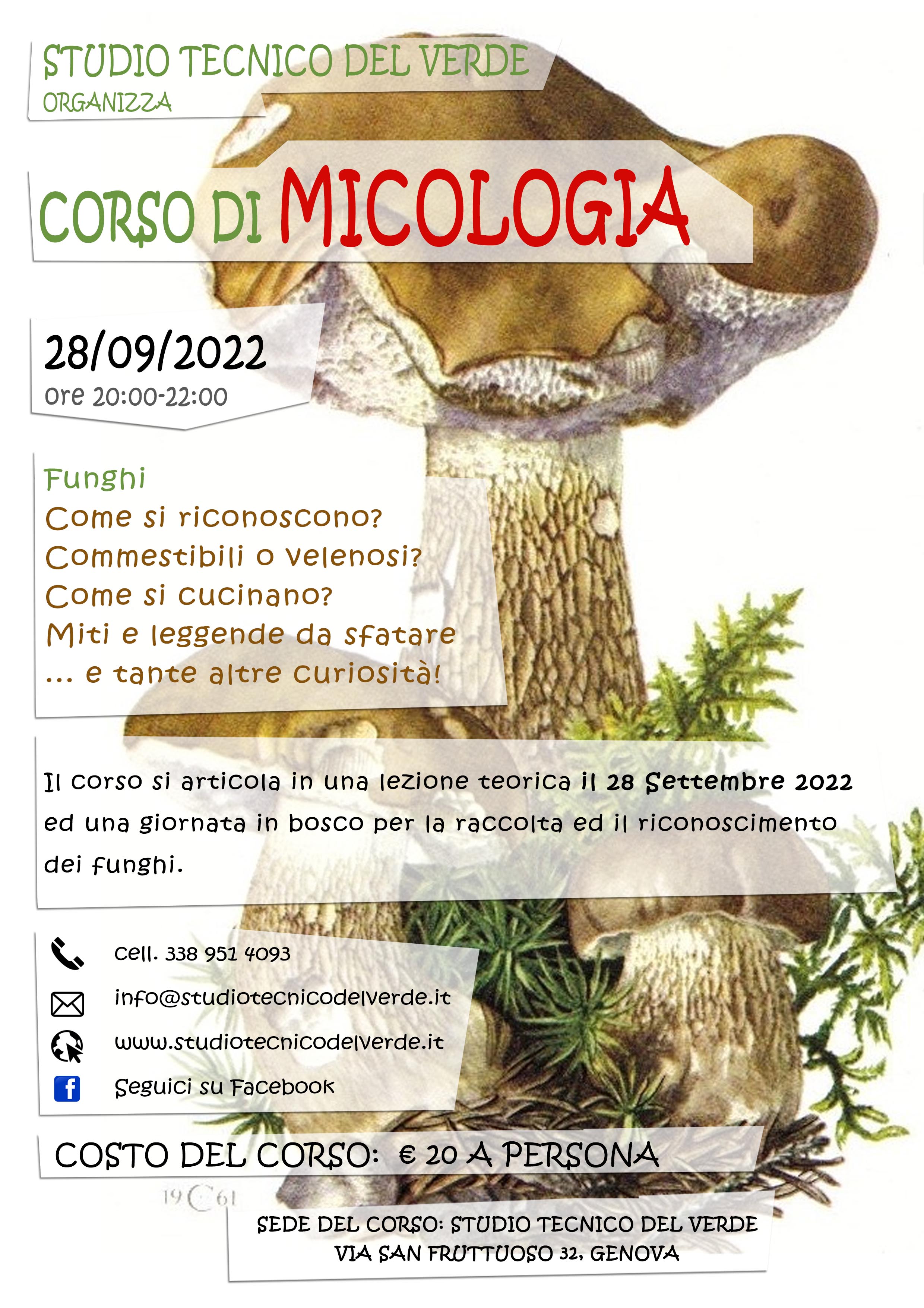 Micologia 2022